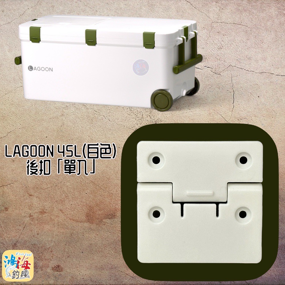 放大